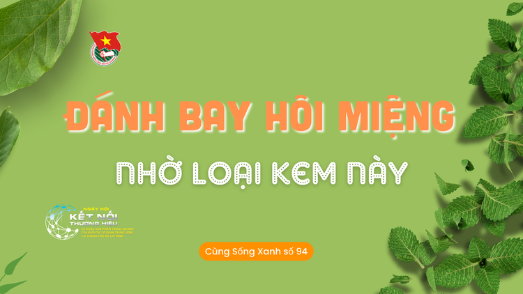 Cùng sống xanh số 94: Làm kem đánh răng chữa hôi miệng nhanh chóng với dược liệu trong căn bếp