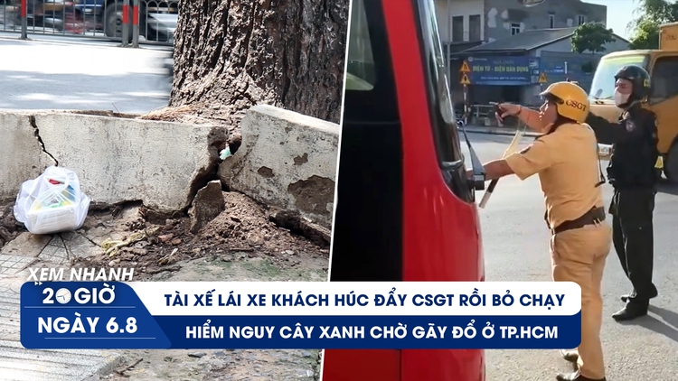 Xem nhanh 20h ngày 6.8: Tài xế lái xe khách húc đẩy CSGT | Bất an hàng loạt cây xanh trồi rễ, chờ gãy đổ