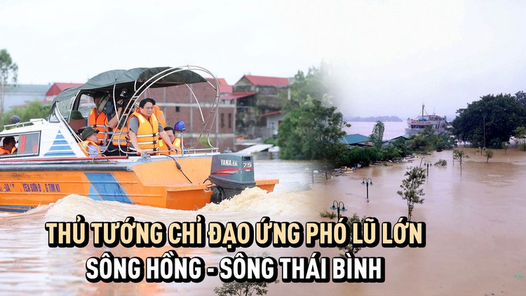 Lũ lớn trên sông Hồng - sông Thái Bình, Thủ tướng chỉ đạo ứng phó