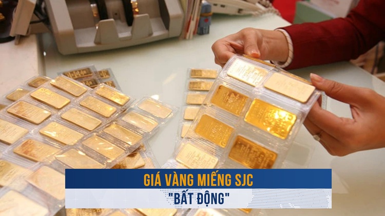 Biến động vàng ngày 12.9: Giá vàng miếng SJC 'bất động'