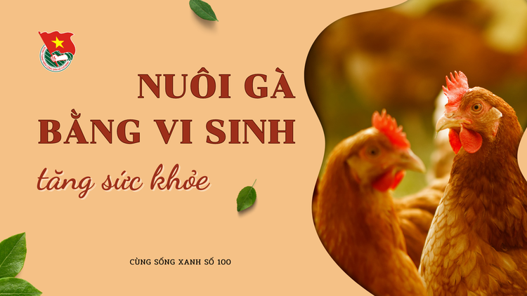 Cùng sống xanh số 100: Nuôi gà vi sinh để cải thiện sức khỏe cho người thân sau đại dịch