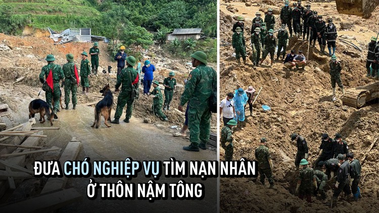 Sạt lở thảm khốc ở Nậm Tông (Lào Cai): Đưa chó nghiệp vụ tìm người mất tích