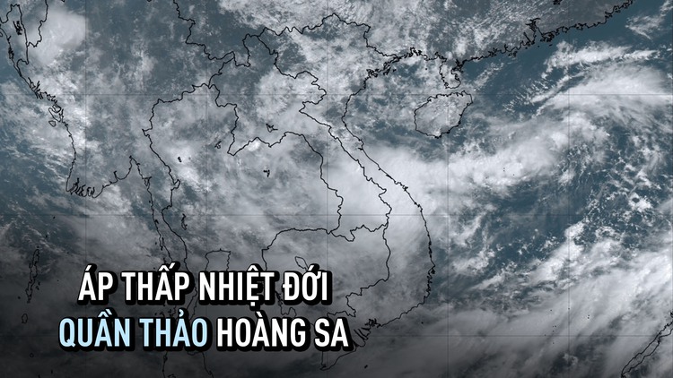 [CẬP NHẬT BÃO SỐ 4] Áp thấp nhiệt đới đang quần thảo ở Hoàng Sa