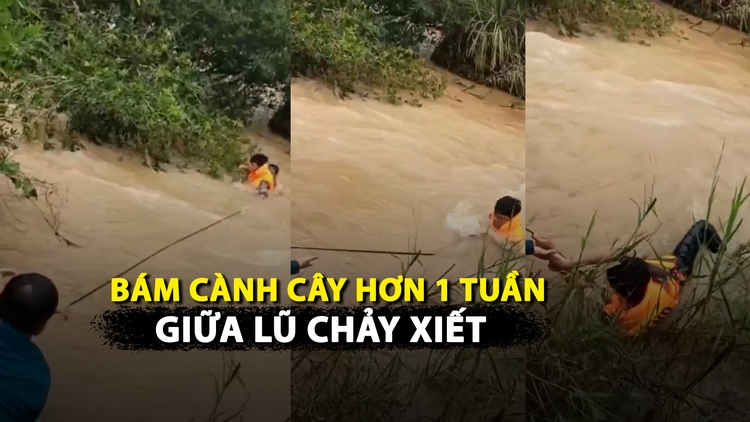 [VIDEO] Thót tim giải cứu thanh niên bị kẹt giữa lũ, bám vào cành cây hơn 1 tuần