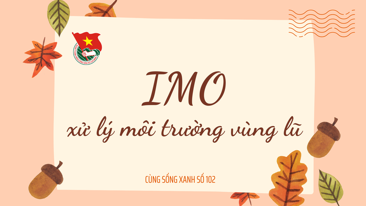 Cùng sống xanh số 102: Khi cộng đồng Cùng sống xanh tập hợp IMO xử lý môi trường vùng lũ