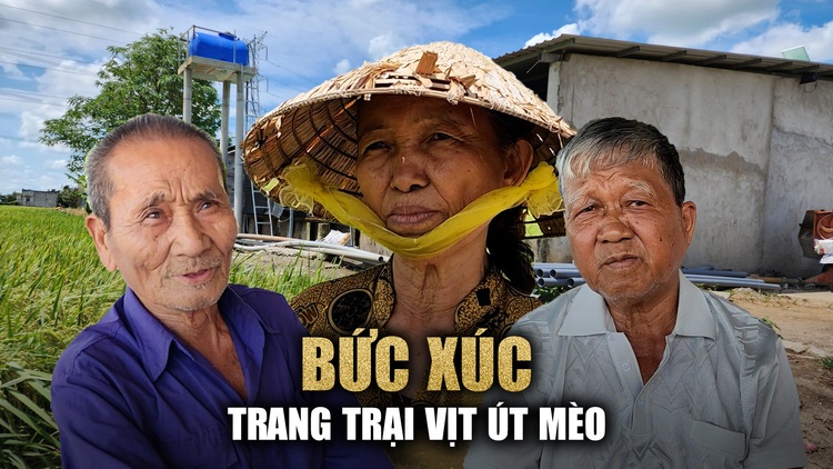 Trang trại Út Mèo ở Long An: Dân khổ vì vịt kêu và ô nhiễm