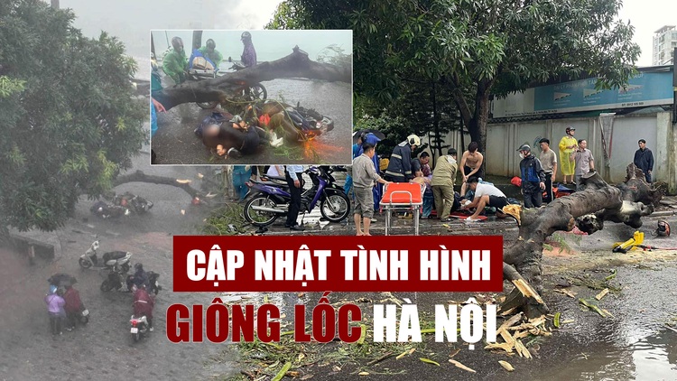 Giông lốc bất ngờ ở Hà Nội: Cây bật gốc đè người đi đường tử vong