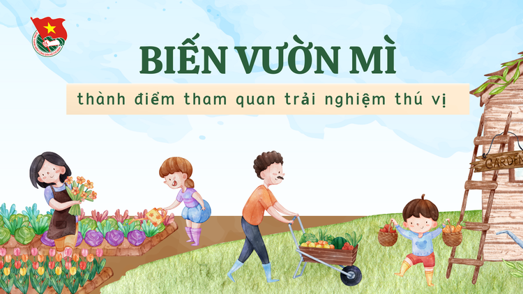 Cùng sống xanh số 99: Muốn sống hòa mình với thiên nhiên, cô gái biến miếng đất cằn thành khu vườn tuyệt đẹp