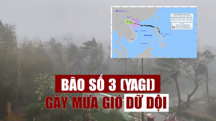 Bão số 3 (YAGI) đã rất gần miền Bắc gây mưa gió dữ dội khắp nơi