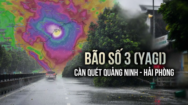 Cuồng phong bão số 3 (YAGI) càn quét Quảng Ninh - Hải Phòng, gió mạnh dữ dội