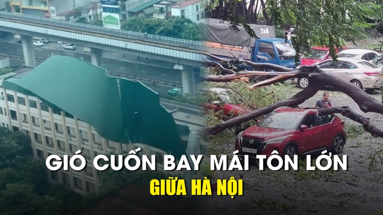 Bão số 3 (Yagi): Mái tôn lìa nóc nhà, cây ngã la liệt đè ô tô trên đường phố Hà Nội