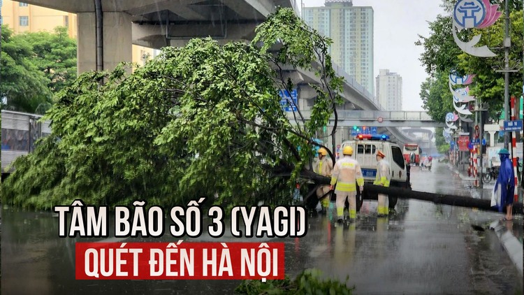 Tâm bão số 3 (Yagi) quét đến Hà Nội, khắp miền Bắc thiệt hại nặng nề