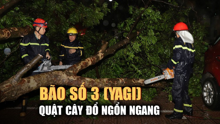 Bão số 3 (Yagi) giảm cấp, cây cối ngổn ngang đường phố Hà Nội