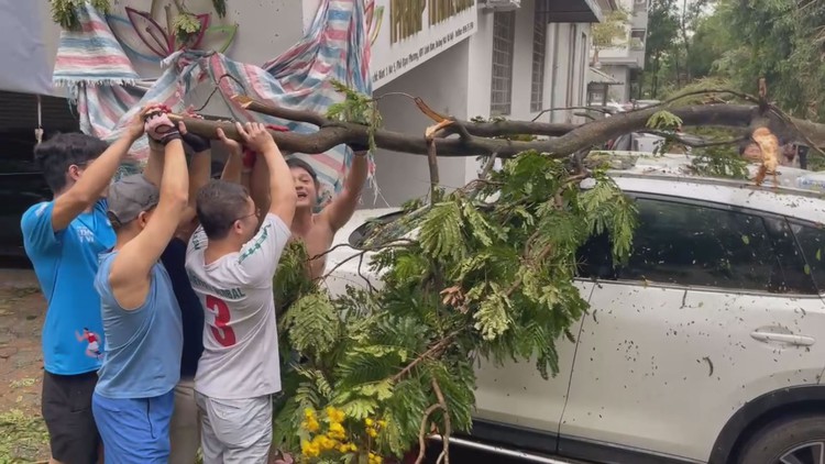 Tan hoang sau bão số 3 (Yagi): ‘Giải cứu’ hàng loạt ô tô bị đè bẹp