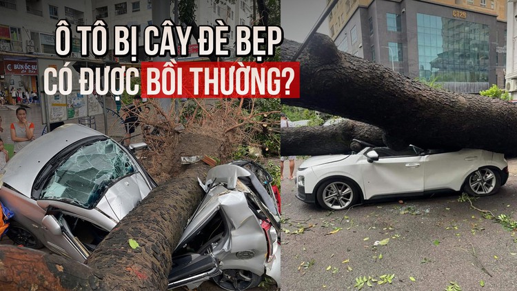 Cây đè bẹp ô tô sau bão Yagi: Chủ xe có được bồi thường?