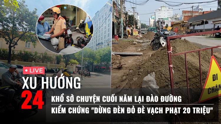 Xu Hướng 24: Khổ sở vì đào đường trước tết | Kiểm chứng tin 'dừng đèn đỏ đè vạch phạt 20 triệu'