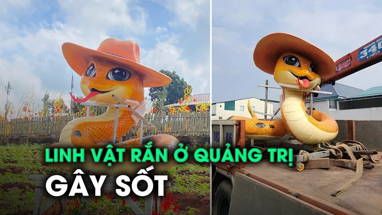 Linh vật rắn ở Quảng Trị vừa trình làng đã gây sốt: 'Chủ nhân' tiết lộ một tin đáng mong chờ hơn