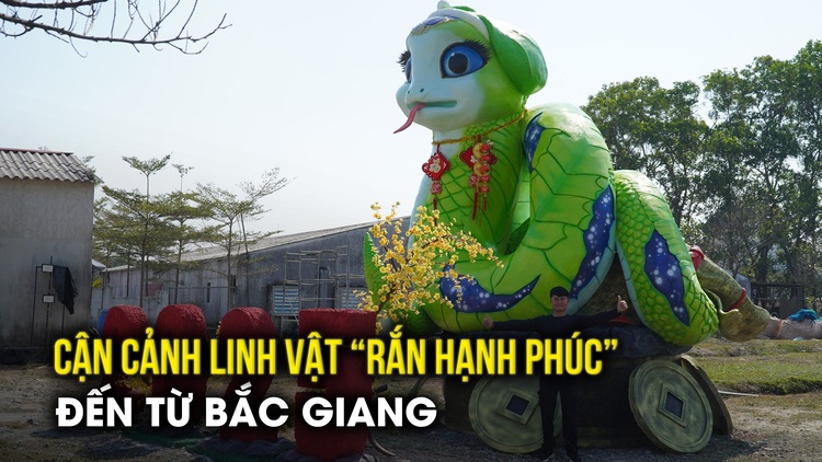 Chủ nhân 'Nàng Rắn Hạnh Phúc' 7 tấn tiết lộ lý do chọn màu xanh và những gửi gắm từ tên gọi