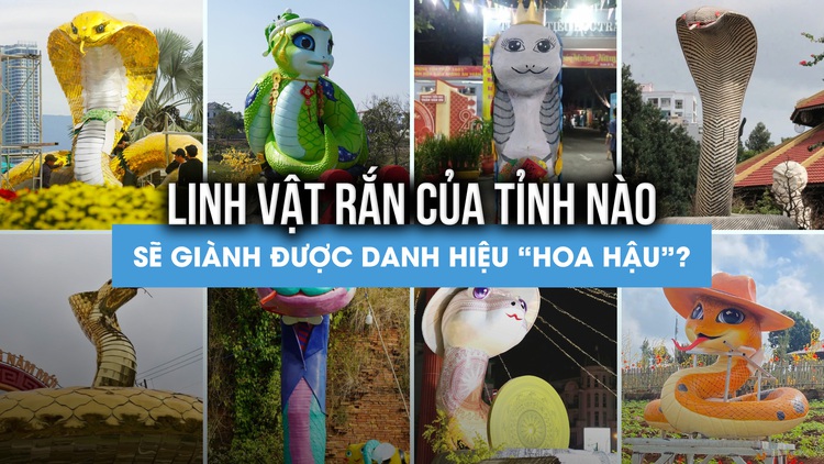 Linh vật khắp nơi đọ sắc tìm danh hiệu 'hoa hậu rắn': Có một đại diện vừa nhìn đã mê