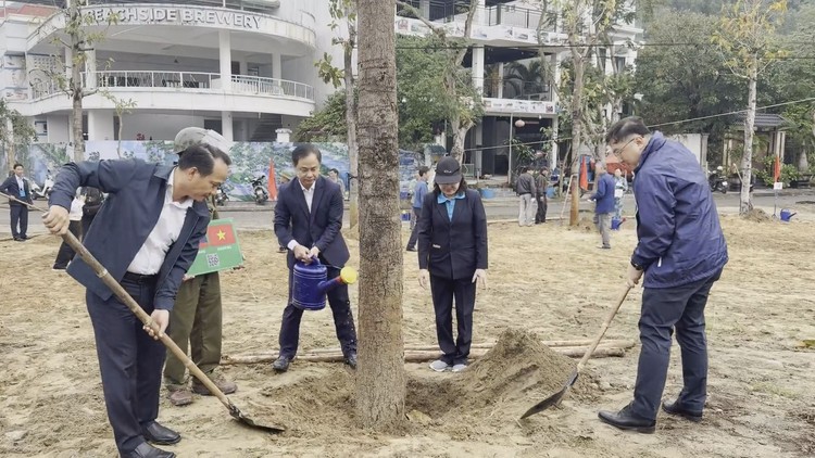 Đà Nẵng: Đại biểu 24 nước trồng cây hữu nghị ở bán đảo Sơn Trà