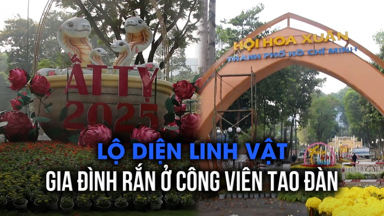 Lộ diện linh vật gia đình rắn ở công viên Tao Đàn: Vừa dễ thương, vừa mang thông điệp ý nghĩa