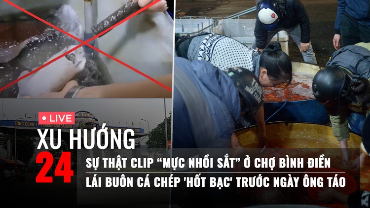 Xu Hướng 24: Clip 'mực nhồi sắt' chợ Bình Điền gây sốc | Lái buôn cá chép 'hốt bạc' thế nào?