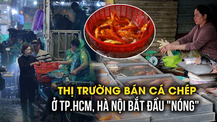 Tết ông Công, ông Táo: Nơi vắng khách, nơi tấp nập người mua cá chép đỏ