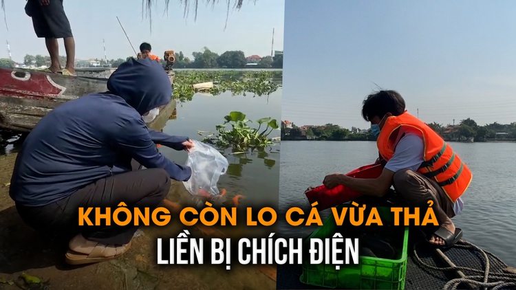 Sợ cá bị chích điện, thuê thuyền ra sông để thả: Năm nay không cần nữa, bởi vì...