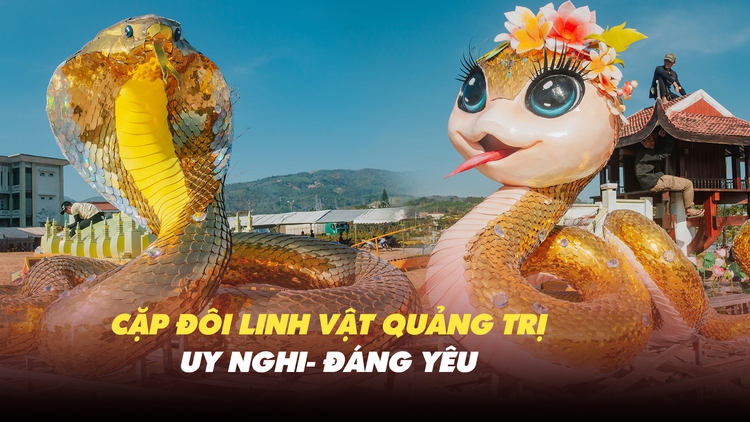 Cặp linh vật rắn ở Quảng Trị lại gây ‘sốt’: Vừa uy nghi vừa dễ thương