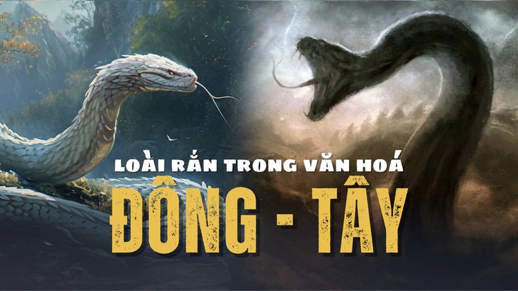 Đối lập thú vị về loài rắn trong văn hóa Đông - Tây