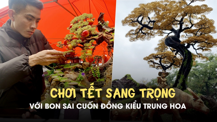 Chơi tết sang trọng với bon sai cuốn đồng kiểu Trung Hoa: Có cây giá vài chục triệu