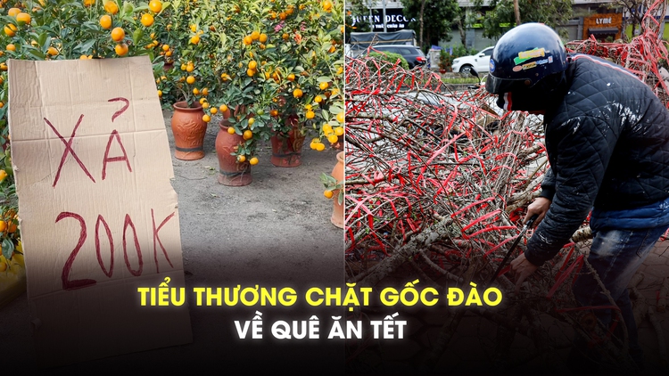 Ế ẩm ngày 29 tết, tiểu thương Hà Nội chặt đào, bán rẻ hoa để về quê ăn tết