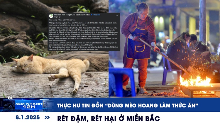 Xem nhanh 12h: Thực hư tin đồn ‘dùng mèo hoang làm thức ăn’ | Rét đậm, rét hại ở miền Bắc