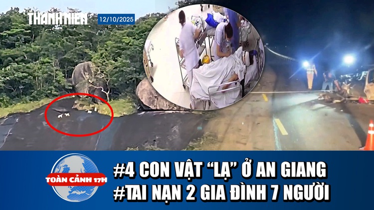 Toàn cảnh 17h 12.10: 4 con vật lạ trắng như tuyết ở An Giang | Tai nạn thảm khốc 7 người trong 2 gia đình