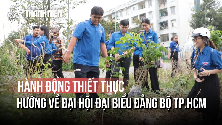 Đoàn kết, hành động hướng về Đại hội Đại biểu Đảng bộ TP.HCM