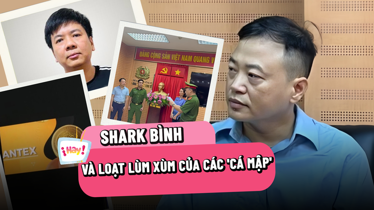 Shark Bình và loạt lùm xùm của những 'cá mập' trong 'Thương vụ bạc tỉ'