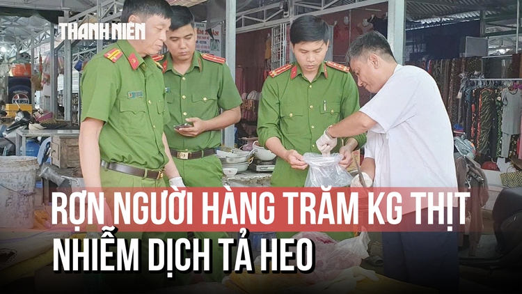 Rợn người hàng trăm kg thịt nhiễm dịch tả heo châu Phi tại Cần Thơ