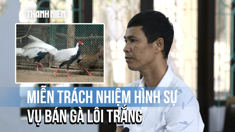 Vụ bán gà lôi trắng lãnh 6 năm tù: Tòa tuyên miễn trách nhiệm hình sự, gia đình vui mừng