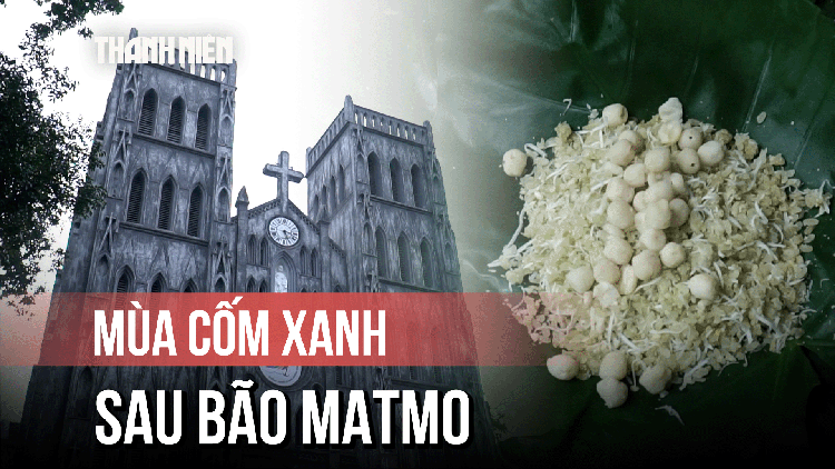 Cốm Hà Nội bị ảnh hưởng sau bão: Người bán, người mua đều tiếc nuối