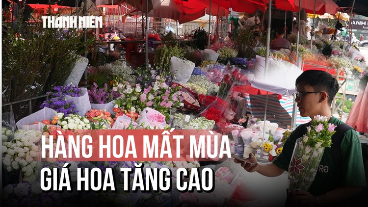 Làng hoa Hà Nội mất mùa, giá hoa tăng cao dịp 20.10