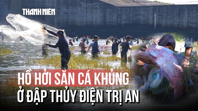 Hàng nghìn người chen nhau 'săn' cá khủng dưới chân đập thủy điện Trị An