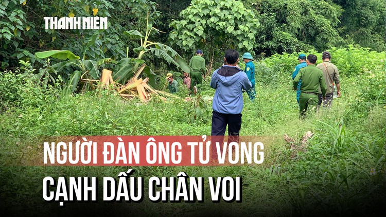Người đàn ông tử vong trong rừng Lâm Đồng, nghi bị voi rừng giẫm chết