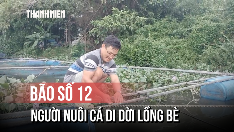 Người nuôi cá tất bật di dời lồng bè: 'Quá tải, phải chấp nhận với thiên tai'