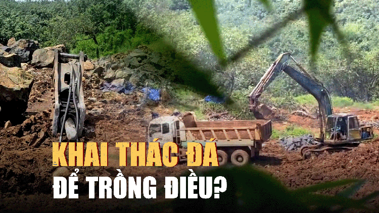 Đồng Nai: Điều tra vụ nghi khai thác đá trái phép