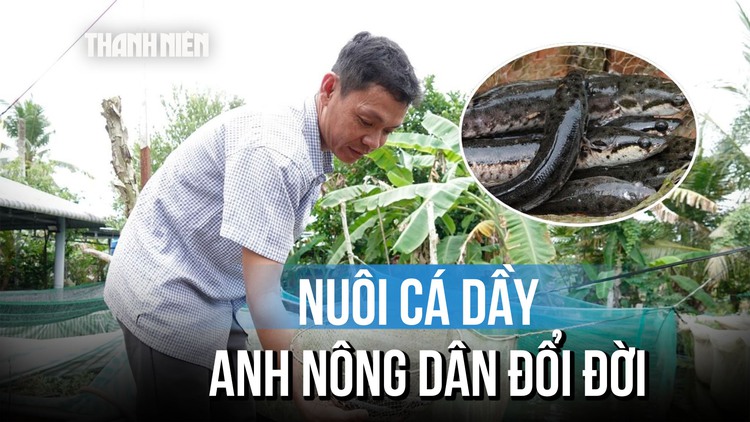 Anh nông dân nuôi thành công loại cá đang dần biến mất ở miền Tây