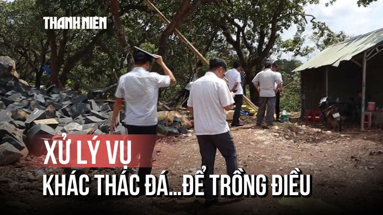 Sở NN&MT Đồng Nai kiểm tra vụ 'khai thác đá để trồng điều'