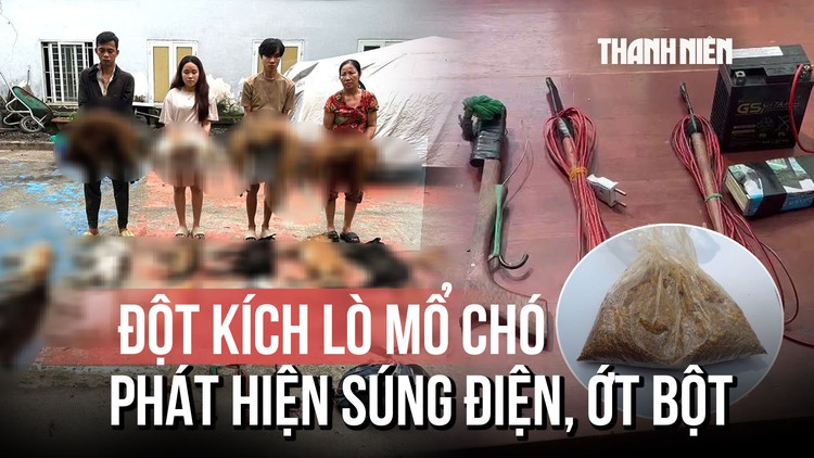 Đột kích lò mổ chó trong đêm, phát hiện súng kích điện và bột ớt chống trả