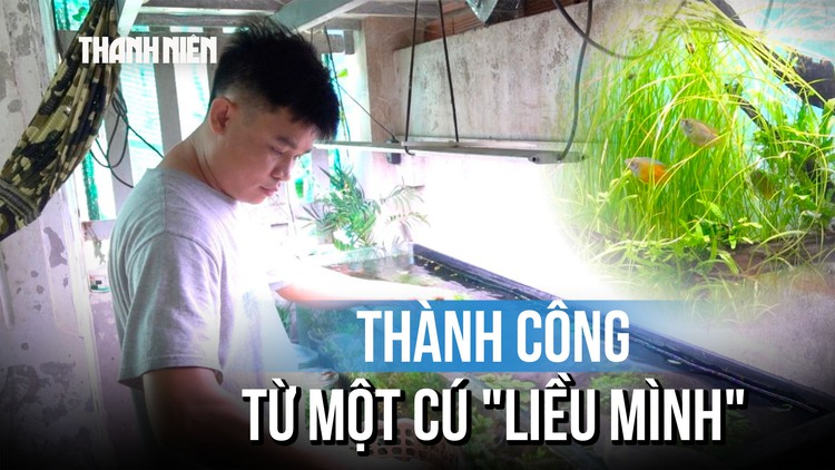‘Liều mình’ bỏ nghề cũ, chàng trai có thu nhập cao từ hồ thủy sinh