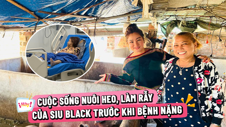 Cuộc sống nuôi heo, làm rẫy của Siu Black trước khi bệnh nặng