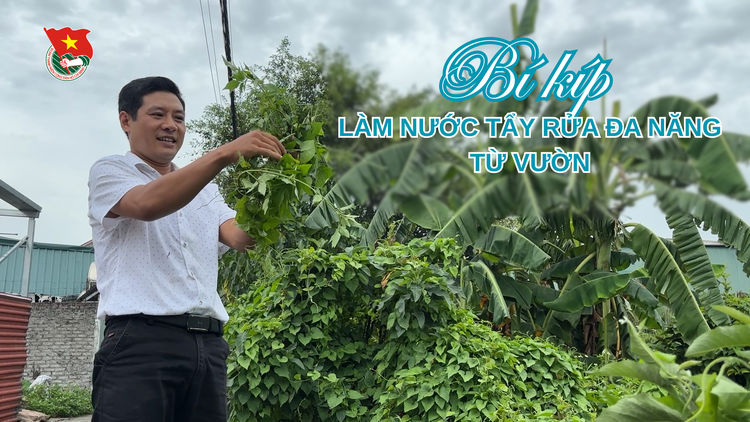 Cùng sống xanh số 127: Bí kíp làm nước tẩy rửa đa năng từ vườn